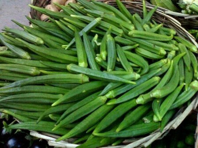 JAYAQNTA HALDER LADY FINGER, BHINDI, BHENDI Seed(200 per packet)