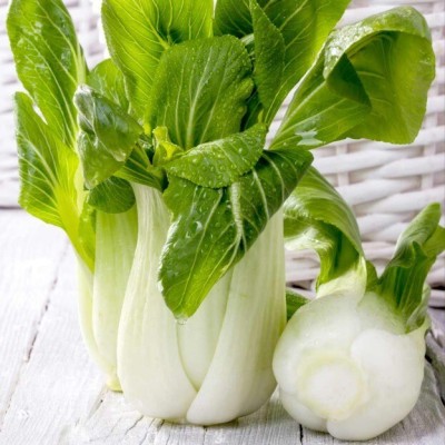 Quentova Pak Choi Seeds -Hanakan-NAMO-7L Seed(300 per packet)