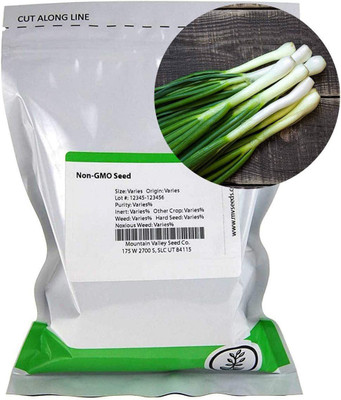 WILLVINE PUAS-400 Tokyo Long White Bunching Onion Seed(1000 per packet)