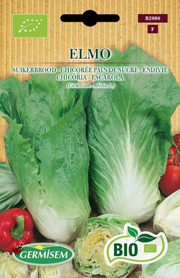 KNESSiN DLX-11 Cabbage Elmo Chicory Chinese Seed(500 per packet)