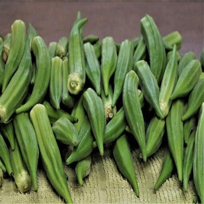 LPR LADY FINGER, (BINDI) Seed(100 per packet)