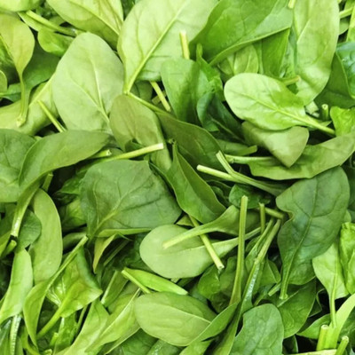 MYLAWN Palak/Spinach Vegetables Seed(400 per packet)