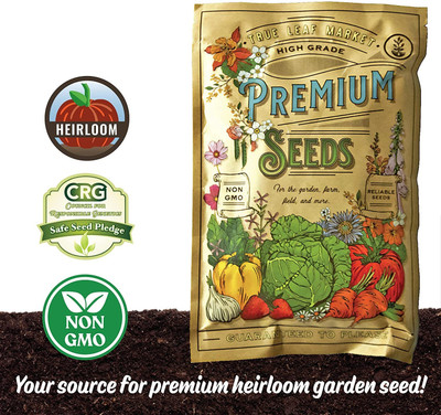 Qualtivate NDIR-172 Parsley Triple Moss Curled Seed(500 per packet)