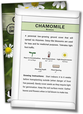 Qualtivate PAU-89 Roman Chamomile Seeds Seed(250 per packet)