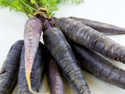 XOLDA Black Carrot Seed(10 per packet)