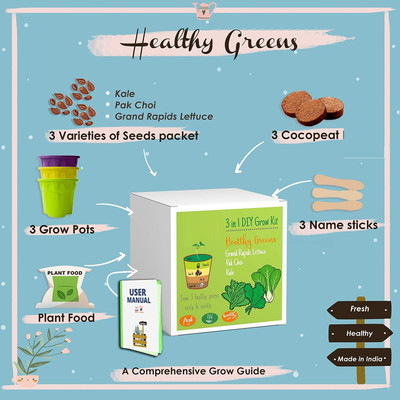 VibeX Kale, Pak Choi, Grand Rapids Lettuce- A Complete Beginner Gardening Set Seed(30 per packet)