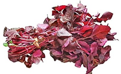 CHILLATAI Red Siru Keerai / Red Tropical Amaranth Seed(5000 per packet)