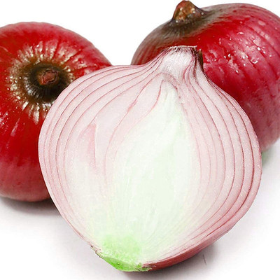 CYBEXIS Onion Seed(1000 per packet)