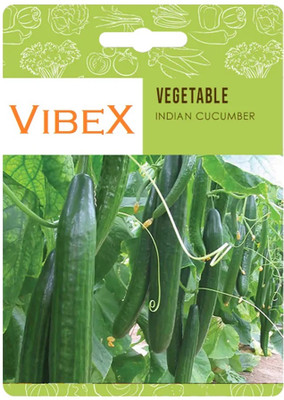 Biosnyg ndian Cucumber Seeds Seed(250 per packet)