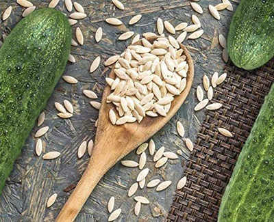 WILLVINE GBPUT-307 Spacemaster 80 Cucumber Seeds Seed(200 per packet)