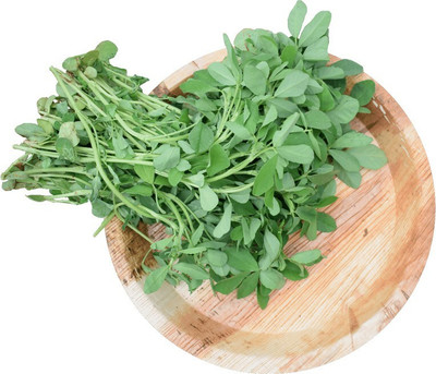 Hybrid Galaxy Fresh Vnr Methi Vegetable Hybrid Quality Seed(100 per packet)
