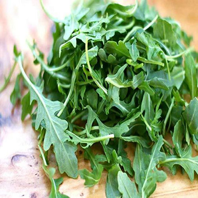 WILLVINE Rocket Rucola Arugula Astro Leaf Exotic Seeds-[2500 Seeds] Seed(2500 per packet)