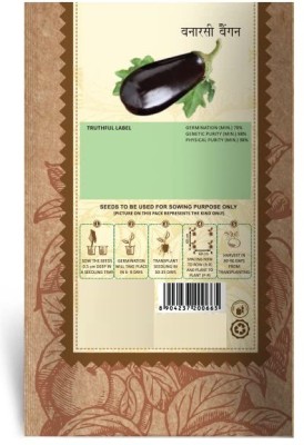 VibeX ® VMR-3 Brinjal Banarasi Giant Vegetable Seeds Seed(200 per packet)