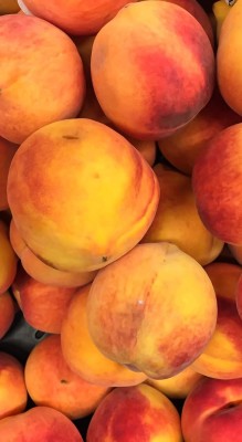 Lorvox Peach Dry Seed(7 per packet)