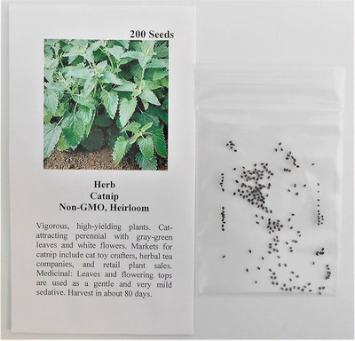 CYBEXIS ATS-50 - Catnip (Nepeta cataria) - (13500 Seeds) Seed(13500 per packet)