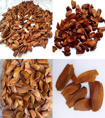 ibains African mahogany seeds for planting bij 10 Seed(10 per packet)