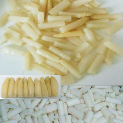 CYBEXIS White Asparagus Seeds400 Seeds Seed(400 per packet)
