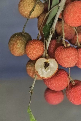 MAA Litchi, Lichi, Lychee Seed(33 per packet)