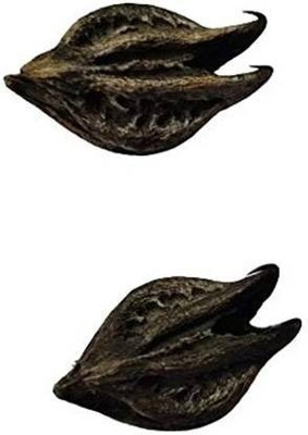 UNIQTRADERS Bat Head Roots Seeds / Devil Pods Seed(5 per packet)