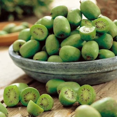 Aywal PREMIUM HYBRID SWEET KIWI Seed(60 per packet)