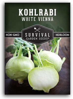 WILLVINE SCI -X Kholrabi/Knolkhol White Vienna F1 Hybrid [10g] Seed(3000 per packet)