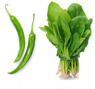 Garden Basket Hubb Chili -Spinach(Palak) Vegetable Seed(100 g)