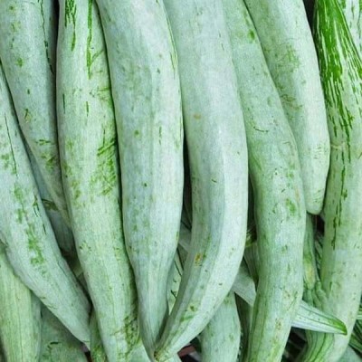 Aywal Snake Gourd Seed(26 per packet)