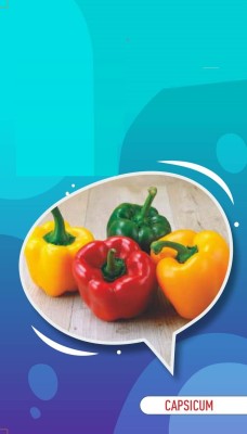 VibeX ® VXI-318 Capsicum Mixed (bell pepper) Seeds Seed(200 per packet)