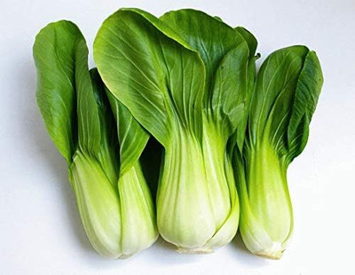 WILLVINE SCI -VIII Chinese Cabbage Bok Choy Seeds [5g] Seed(1500 per packet)