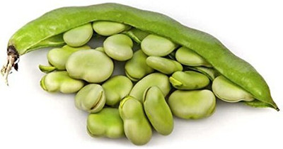 CRGO BEANS Seed(100 per packet)