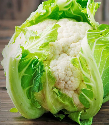 WILLVINE KGF -II CAULIFLOWER / F1 HYBRID / PHOOL GOBHI / गोभी[5g, 1500 Seeds] Seed(1500 per packet)