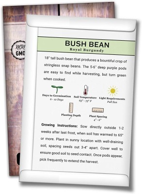 Biosnyg YRS-58 Royal Burgundy Bush Bean Seed-[800 Seeds] Seed(800 per packet)