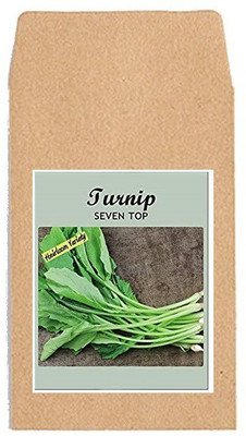 CYBEXIS Hybrid Vegetable Seeds-Turnip Seven Top2000 Seeds Seed(2000 per packet)