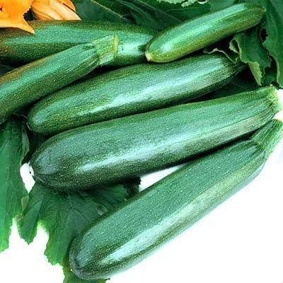 VibeX ® VXI-377 Squash Zucchini Elite F3 Seed(100 per packet)