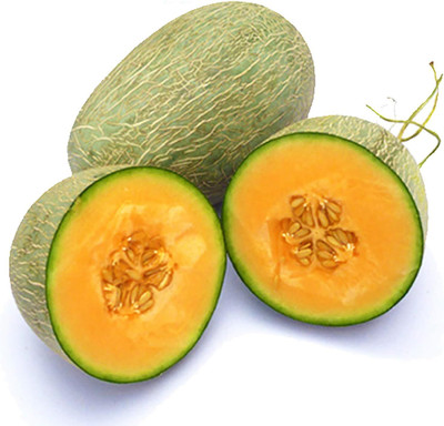 KNESSiN Musk Melon Cantaloupe Seed(200 per packet)