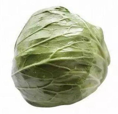 MYLAWN Round Shape Green Ball Style Cabbage Seed(50 per packet)