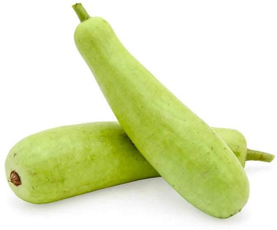 KNESSiN High Yield Rare Bottle Gourd Vegetable Seeds Seed(50 per packet)