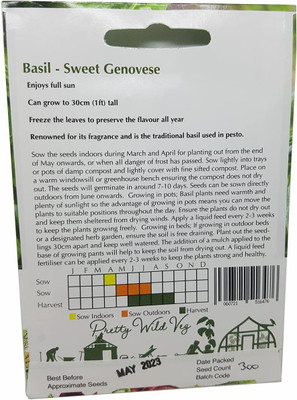 KNESSiN Basil Sweet Genovese Seed(200 per packet)