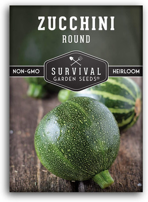 CYBEXIS LXI-39 - Round Zucchini for Planting - (75 Seeds) Seed(75 per packet)