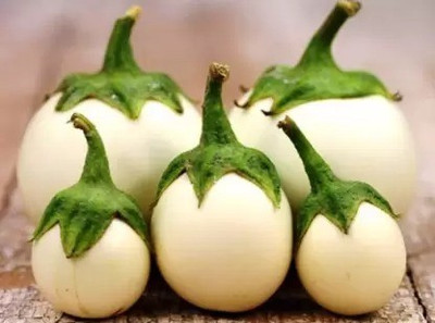 MAA Brinjal white round, Eggplant Seed(15 per packet)