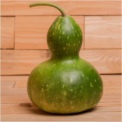 VibeX NDIR-34 - Bottle/Birdhouse Gourd (Lagenaria siceraria) - (300 Seeds) Seed(300 per packet)