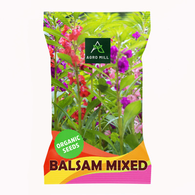 AGRO MILL BALSAM MULTIFLORA MIXED PREMIUM QUALITY FLOWER Seed(30 per packet)