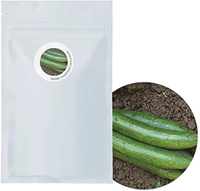 VibeX NDIR-85 - Sponge GourdGilkiTurai Ke Beej - (300 Seeds) Seed(300 per packet)