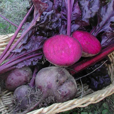 Aywal Beetroot Red Ball Seed(2000 per packet)