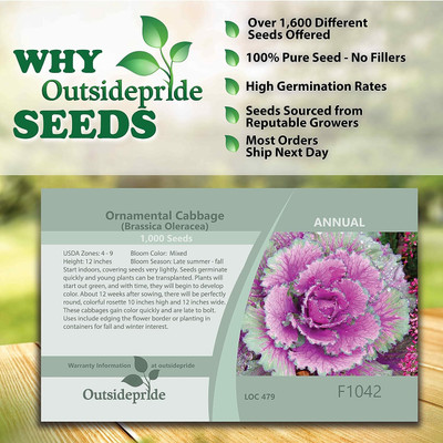 WILLVINE GBPUT -VII Brassica Oleracea Ornamental Cabbage [10g] Seed(3000 per packet)