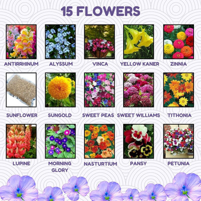 Greenery Hub 15 Flower Seed Combo Pack for Home Garden Seed(15 per packet)