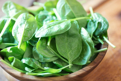 MYLAWN Spinach Vegetables Seed(400 per packet)