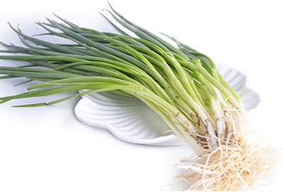 CYBEXIS Fast Germination Chive Seeds Green Onion Seeds2000 Seeds Seed(2000 per packet)
