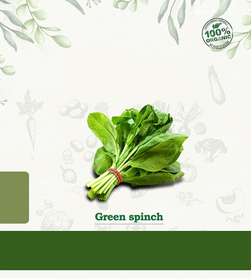 VibeX ® RXI-701 Spinach Vegetable Seeds Seed(500 per packet)