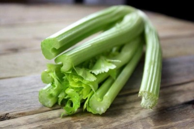 Qualtivate LXI-157 Celery Tall Utah Seeds Seed(500 per packet)